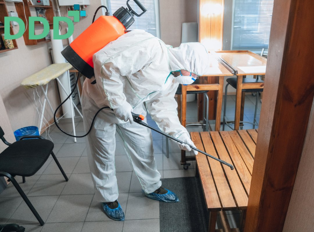 Curățenia și dezinfecția îndepărtează murdăria vizibilă și contaminanții la locurile de muncă