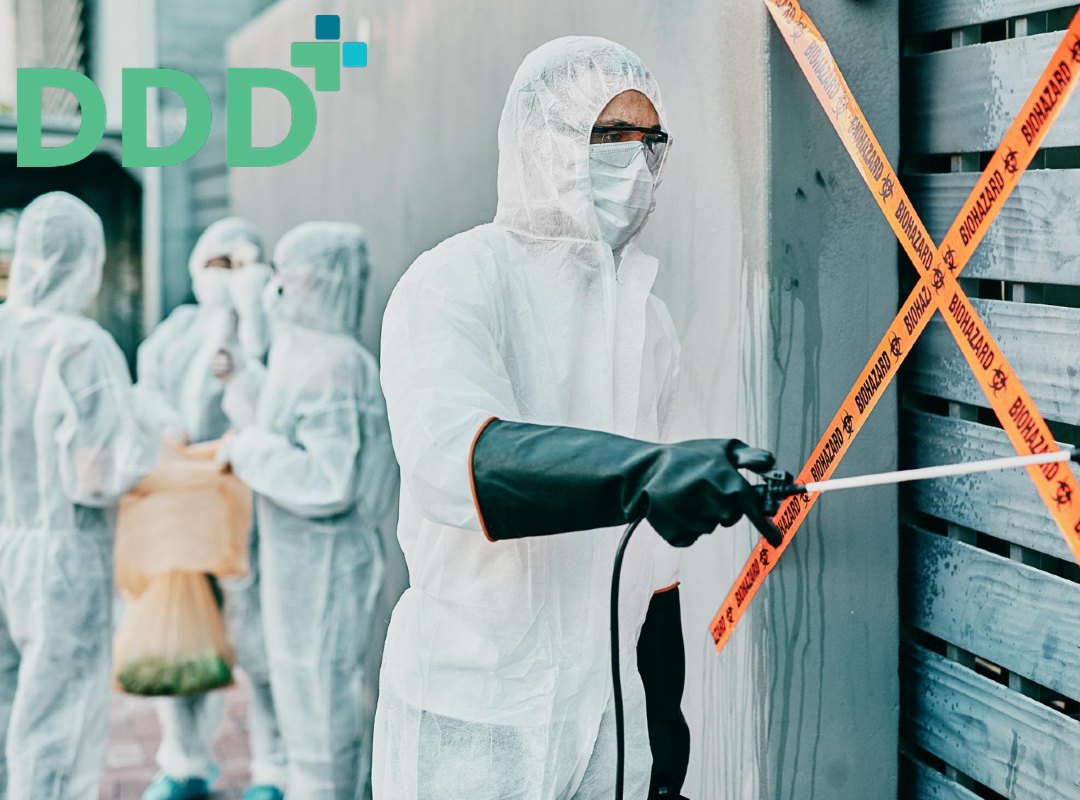 DDD Plus București este compania specializată și autorizată în deratizare, dezinsecție, dezinfecție